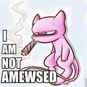 Meet your Posher, Joey